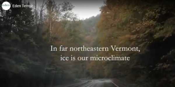 Eden Ice Cider Terroir