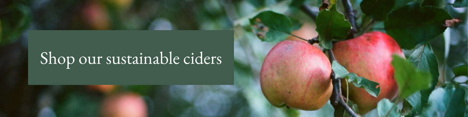 https://www.edenciders.com/wp-content/uploads/2022/05/Organic-Apples-Not-Good-Enough.png