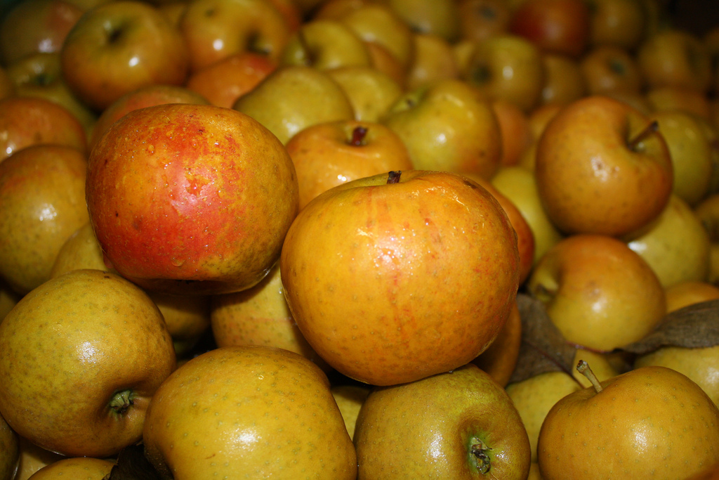 Heirloom Apples from Eden Ciders