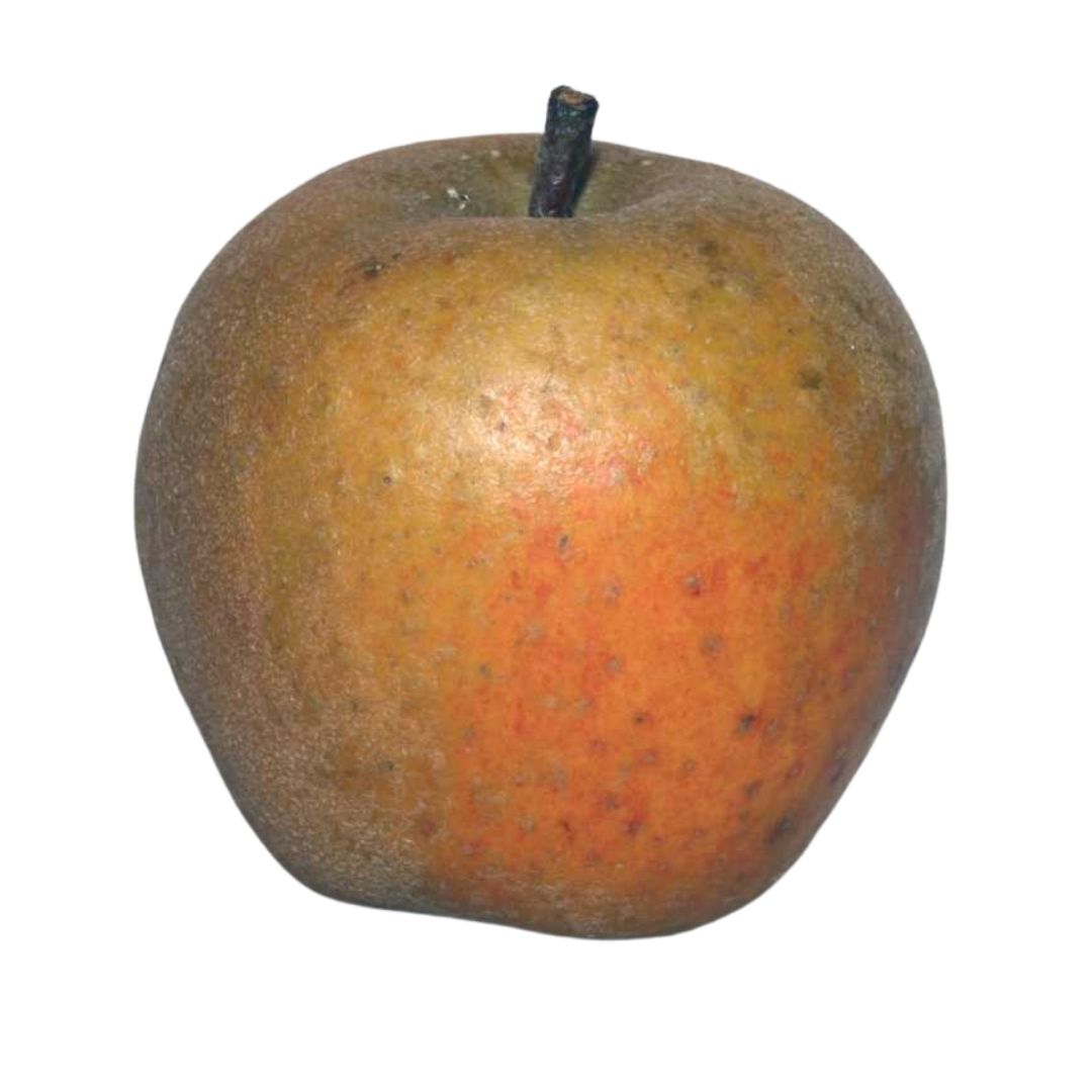 Sustainably harvested Vermont heirloom cider apples Eden Ciders