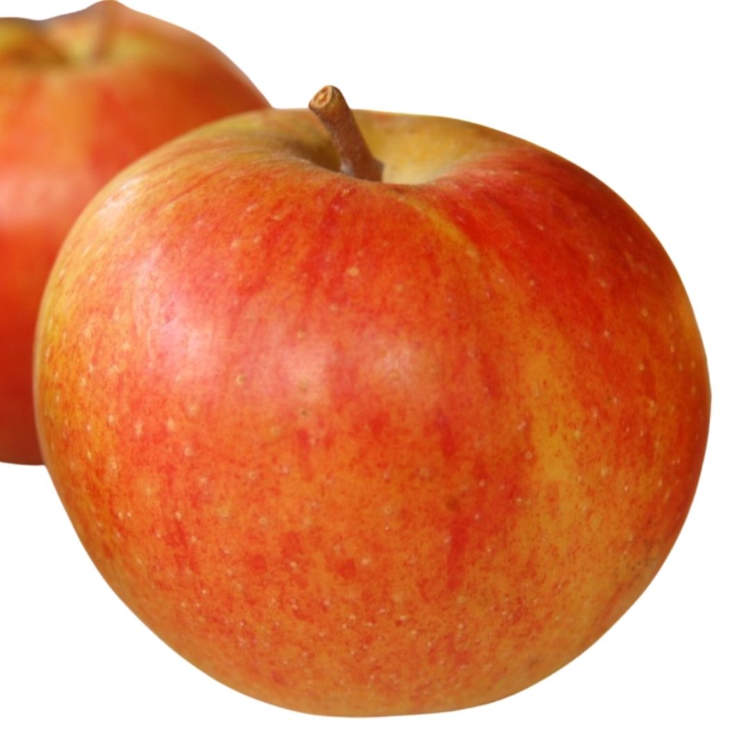 Sustainably harvested Vermont heirloom cider apples Eden Ciders