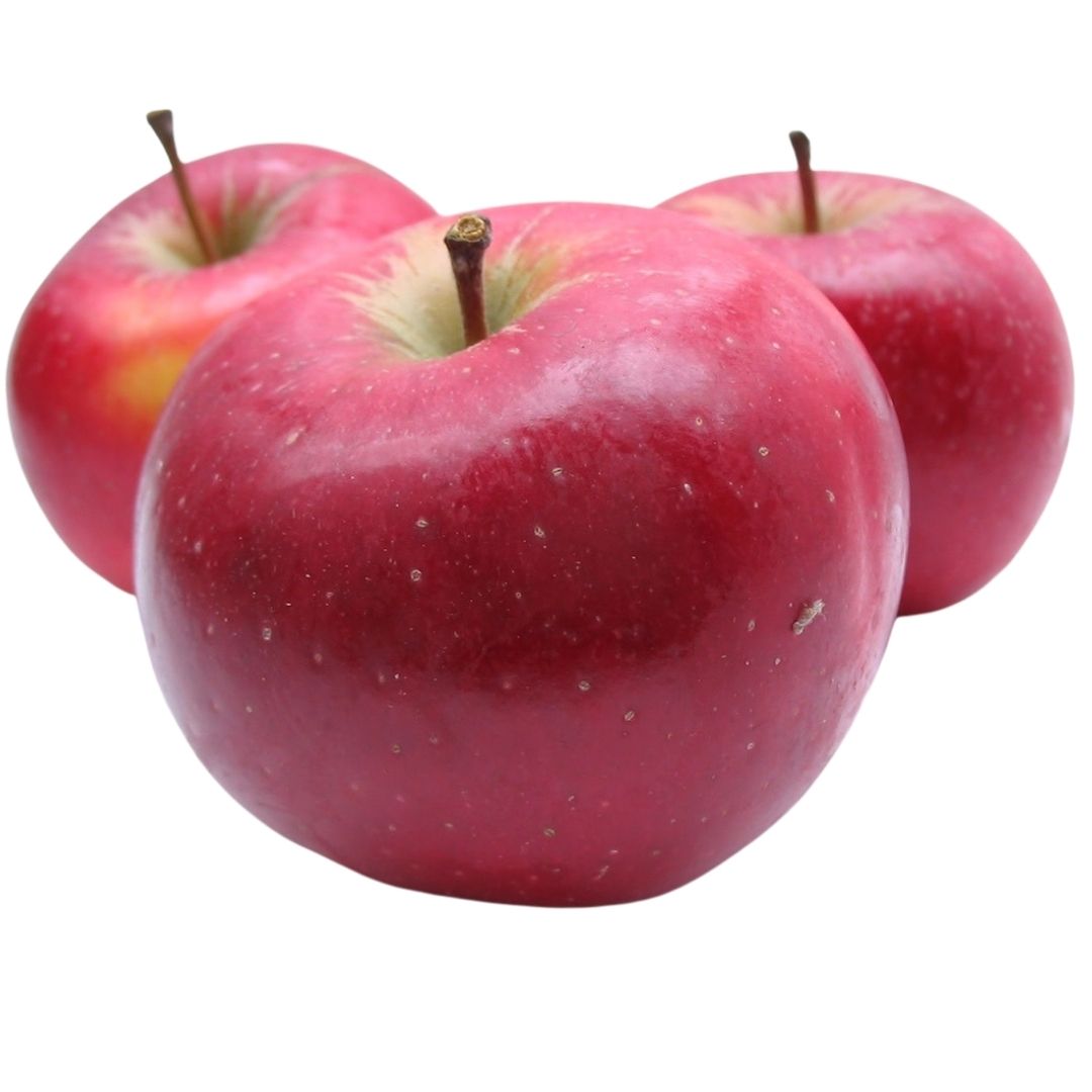 Sustainably harvested Vermont heirloom cider apples Eden Ciders