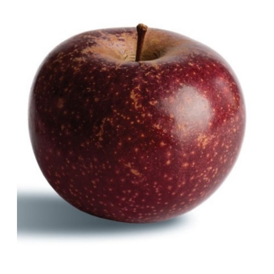 Sustainably harvested Vermont heirloom cider apples Eden Ciders