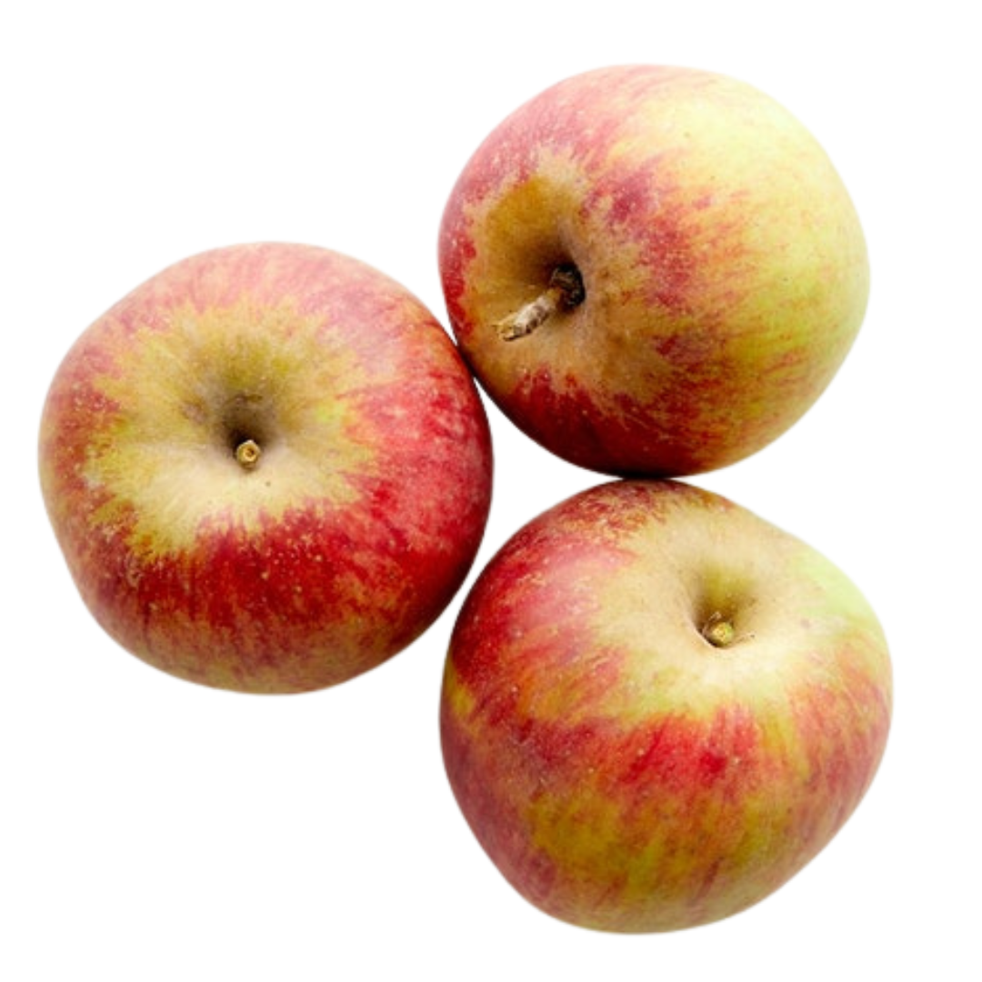 Sustainably harvested Vermont heirloom cider apples Eden Ciders