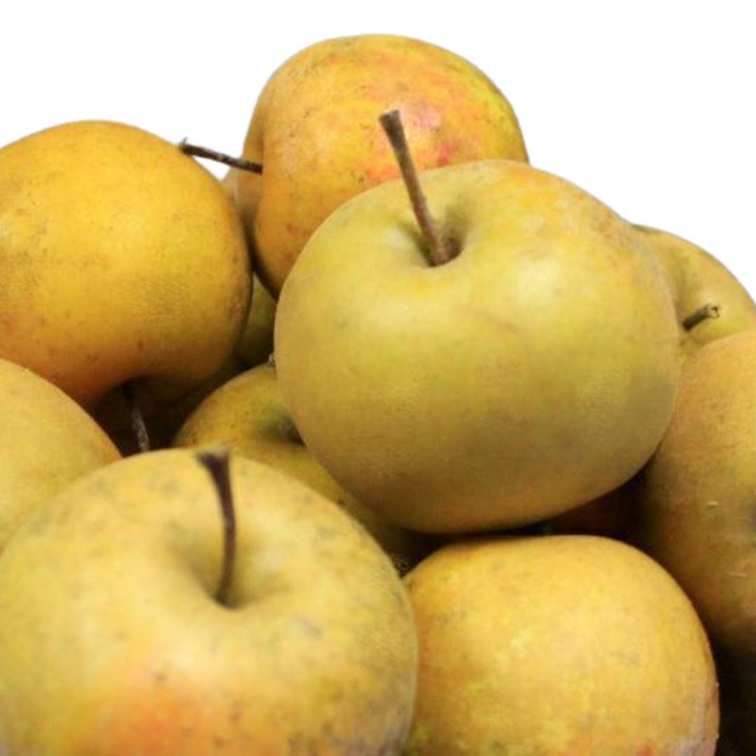 Sustainably harvested Vermont heirloom cider apples Eden Ciders