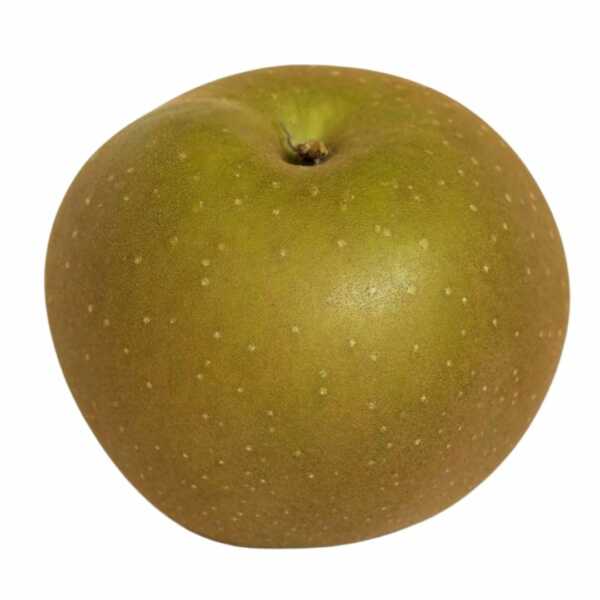 GRANNY SMITH apple fruit seedling - FRUTI KOMERC
