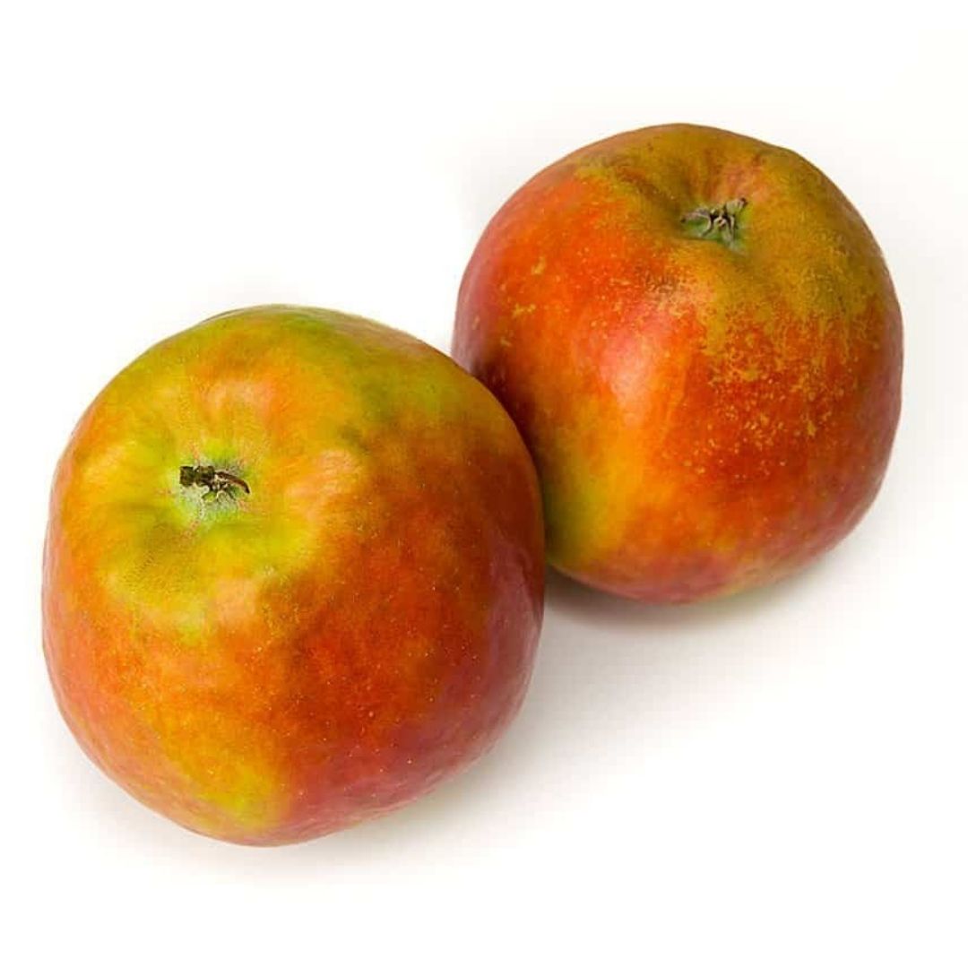 Sustainably harvested Vermont heirloom cider apples Eden Ciders