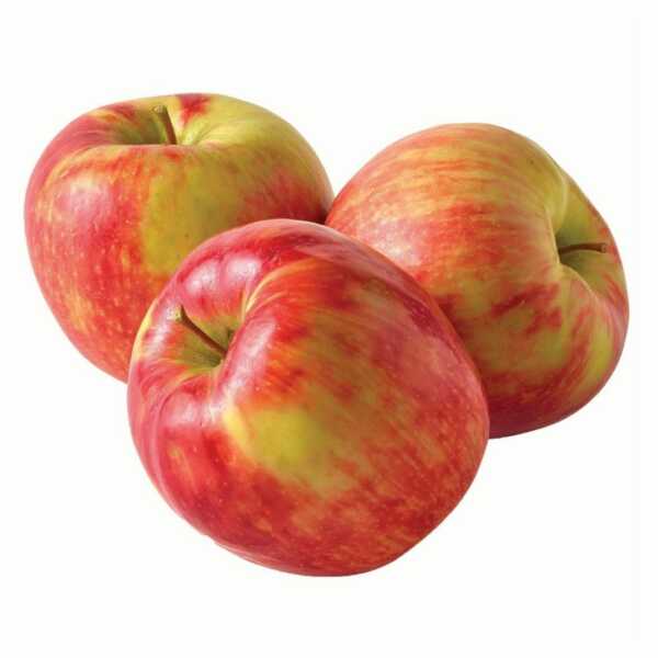 Honeycrisp | Sustainably grown cider apple | Eden Ciders