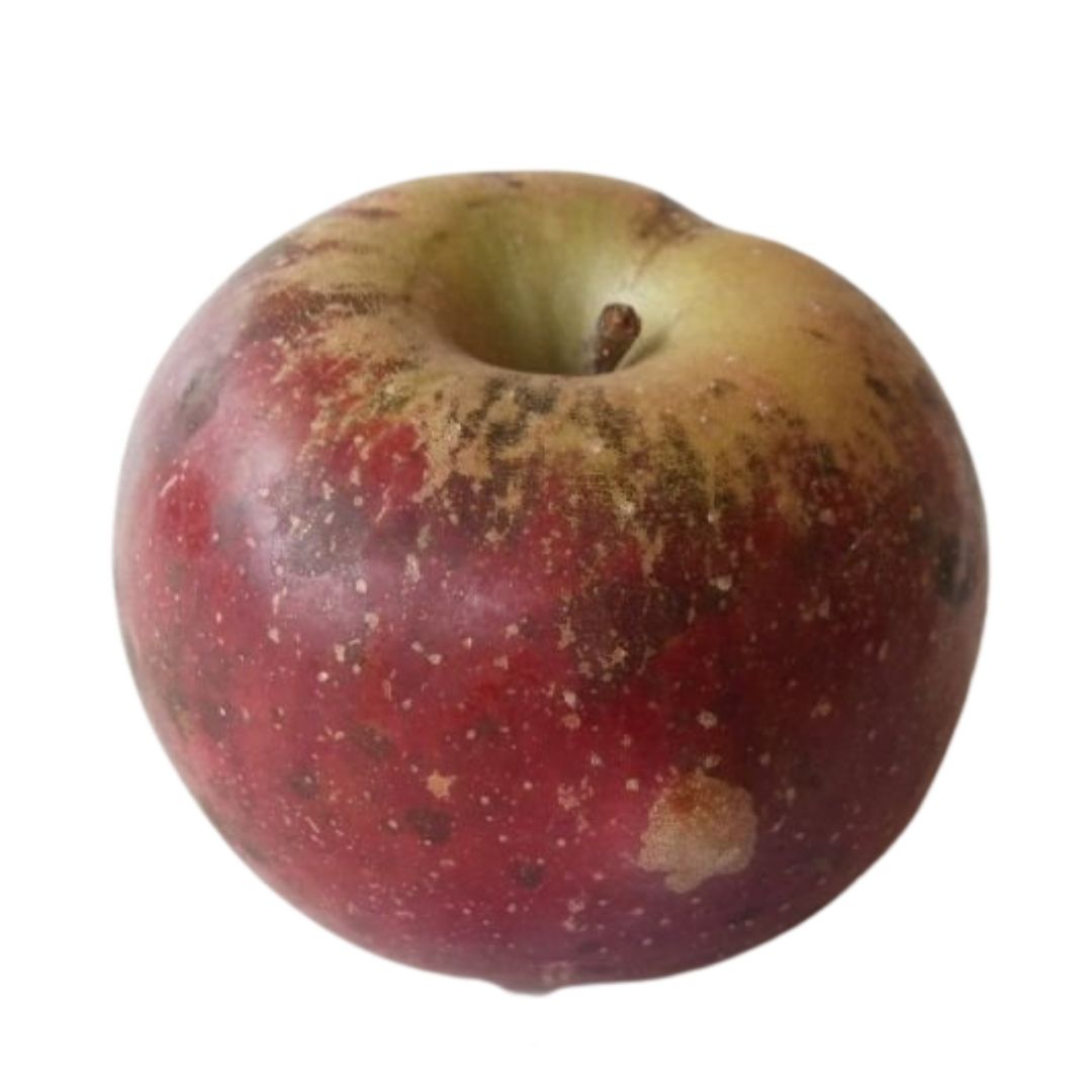 Sustainably harvested Vermont heirloom cider apples Eden Ciders