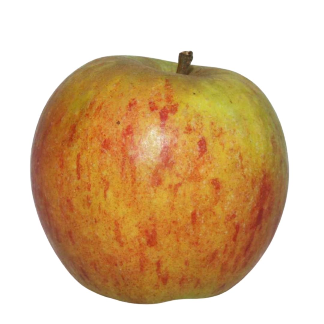 Sustainably harvested Vermont heirloom cider apples Eden Ciders